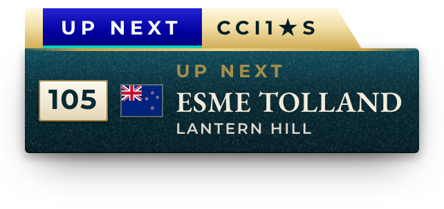 Up next corner bug